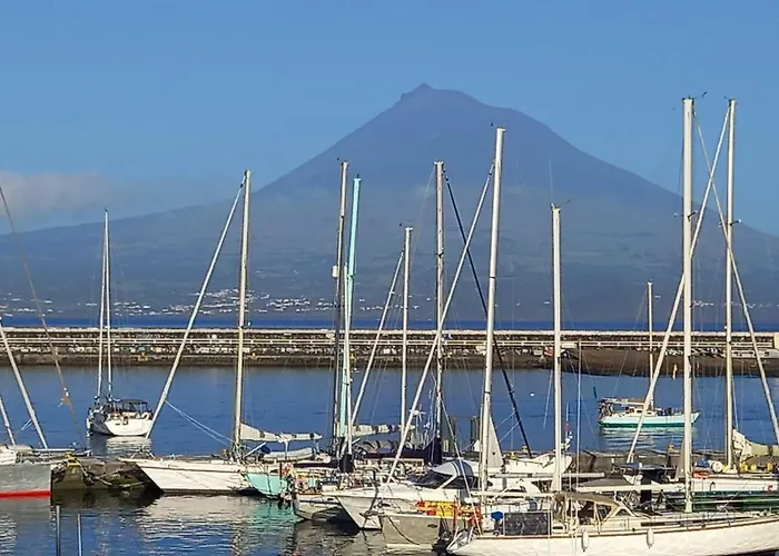 Seastar Nº38 Daire *