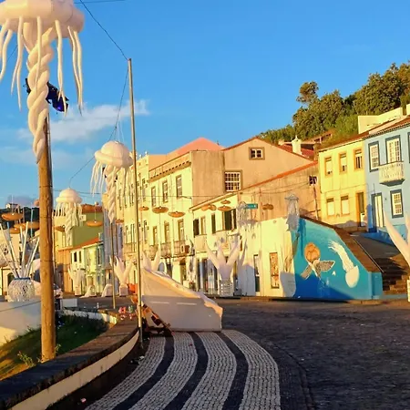 Seastar Nº38 * Орта